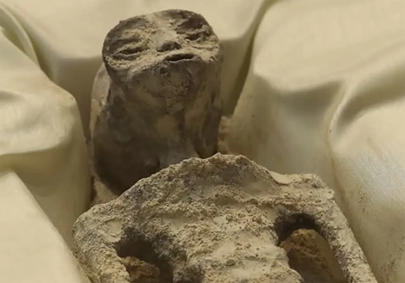 Incredible Discovery: Alien Mummies Found in Sri Lanka – The Truth Is Out There!