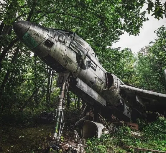 Amazing! Military Plane Missing 100 Years Ago Surprisingly Found in the Equatorial Jungle