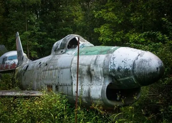 Amazing! Military Plane Missing 100 Years Ago Surprisingly Found in the Equatorial Jungle