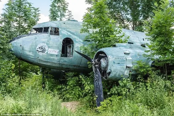 Amazing! Military Plane Missing 100 Years Ago Surprisingly Found in the Equatorial Jungle