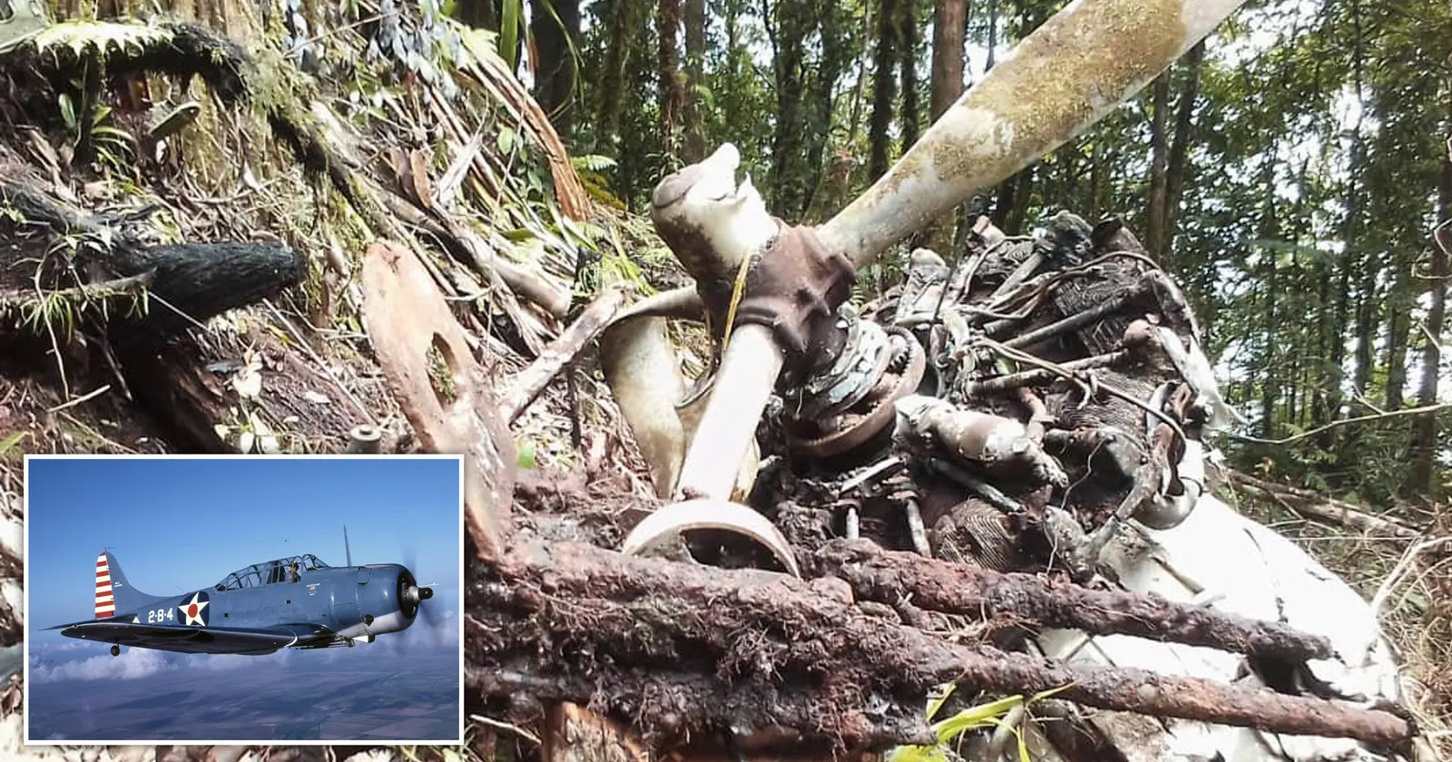 Amazing! Military Plane Missing 100 Years Ago Surprisingly Found in the Equatorial Jungle