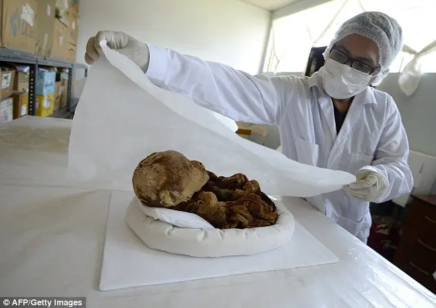 Breaking News: Archaeologists Discover 3 Million Year Old Pre-Inca Baby Mummy in Historic Peruvian Tomb!