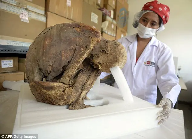 Breaking News: Archaeologists Discover 3 Million Year Old Pre-Inca Baby Mummy in Historic Peruvian Tomb!