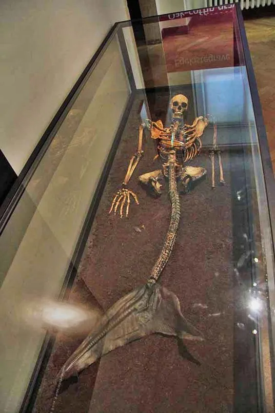 Incredible Find! Mermaid Bone Remains Reveal Hidden Reality in Science