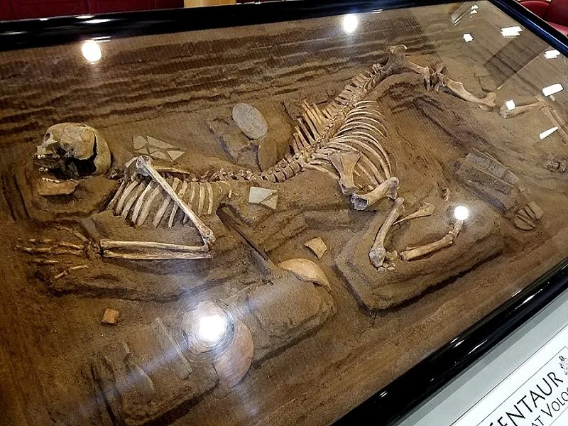 One of three centaur burials discovered in 1980 by the Archaeological Society of Argos Orestiko, eight kilometres northeast of Volos, Greece