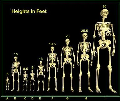 Newly Discovered: The Chilling Mysteries of the ‘White Giants’ in Indigenous Legends