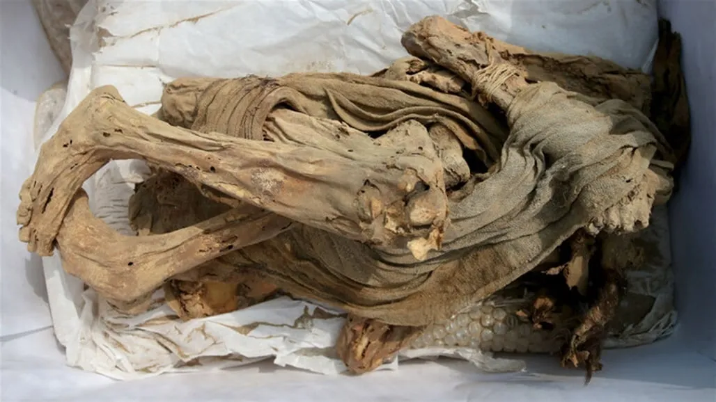Rediscovering the Siberian Ice Maiden: Eternal Beauty and Ancient Secrets Revealed