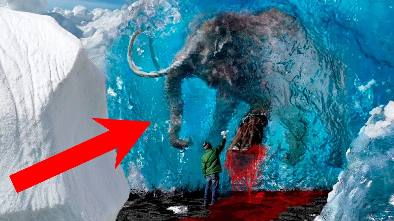 Shocking Revelation: 3 Million Year Old Mammoth Mummy Discovered in Antarctica – Will It Rewrite Our Understanding of Prehistory?