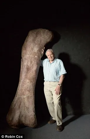 Shocking discovery: The world's largest dinosaur has been discovered: a 37-metre colossus weighing 70 tonnes that roamed the Earth 102 million years ago.