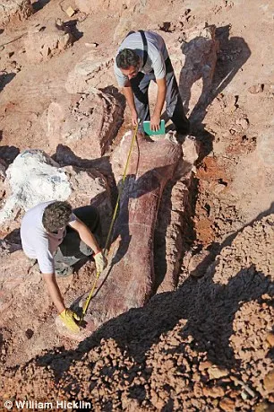 Shocking discovery: The world's largest dinosaur has been discovered: a 37-metre colossus weighing 70 tonnes that roamed the Earth 102 million years ago.
