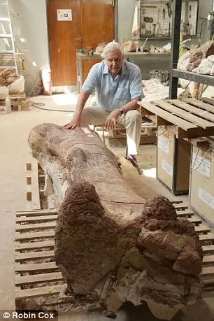 Shocking discovery: The world's largest dinosaur has been discovered: a 37-metre colossus weighing 70 tonnes that roamed the Earth 102 million years ago.