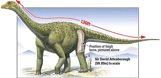 Shocking discovery: The world's largest dinosaur has been discovered: a 37-metre colossus weighing 70 tonnes that roamed the Earth 102 million years ago.