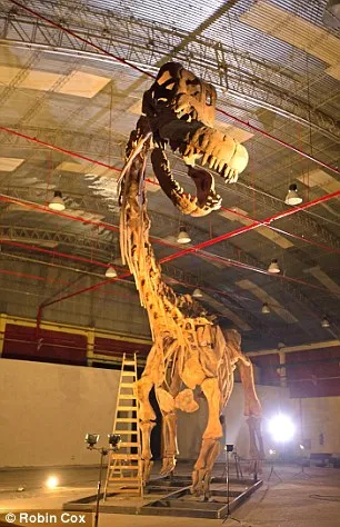 Shocking discovery: The world's largest dinosaur has been discovered: a 37-metre colossus weighing 70 tonnes that roamed the Earth 102 million years ago.