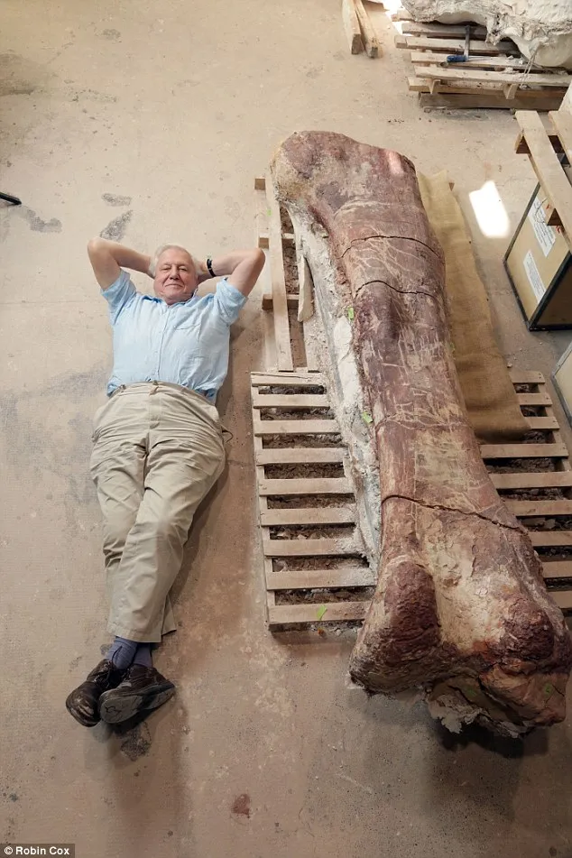 Shocking discovery: The world's largest dinosaur has been discovered: a 37-metre colossus weighing 70 tonnes that roamed the Earth 102 million years ago.