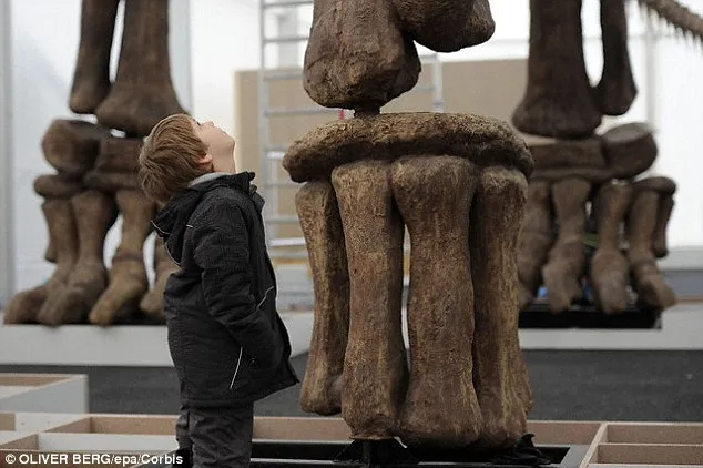 Shocking discovery: The world's largest dinosaur has been discovered: a 37-metre colossus weighing 70 tonnes that roamed the Earth 102 million years ago.