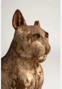 Shocking Revelation! The Dark and Sinister Truth Behind the 70 Million Mummified Animals in Egypt Is Revealed