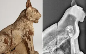 Shocking Revelation! The Dark and Sinister Truth Behind the 70 Million Mummified Animals in Egypt Is Revealed