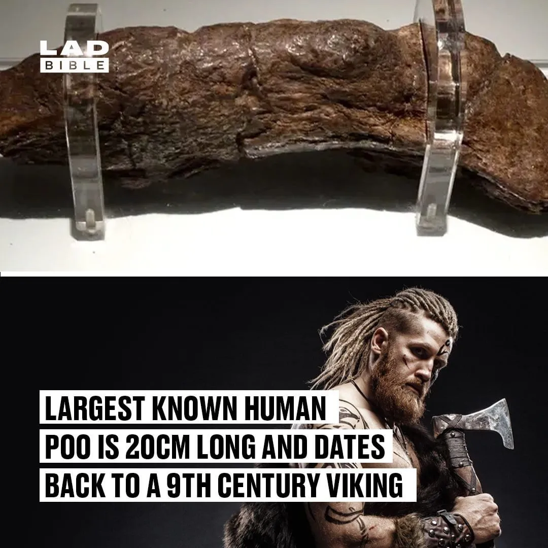 This gigantic fossil of human excrement, valued at $39,000, is the largest ever discovered. It belonged to a sick Viking from the 9th century AD.