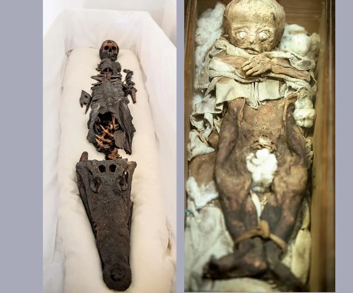 Discover the ancient secrets of the two-headed mummy, hidden for over a century.