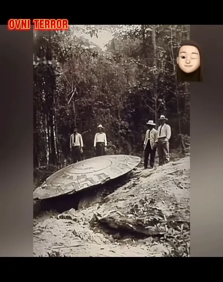 Revolutionary Archaeological Discoveries in Mexico’s Blue Mountains Reveal Extraterrestrial Artifacts, Leaving Everyone Baffled