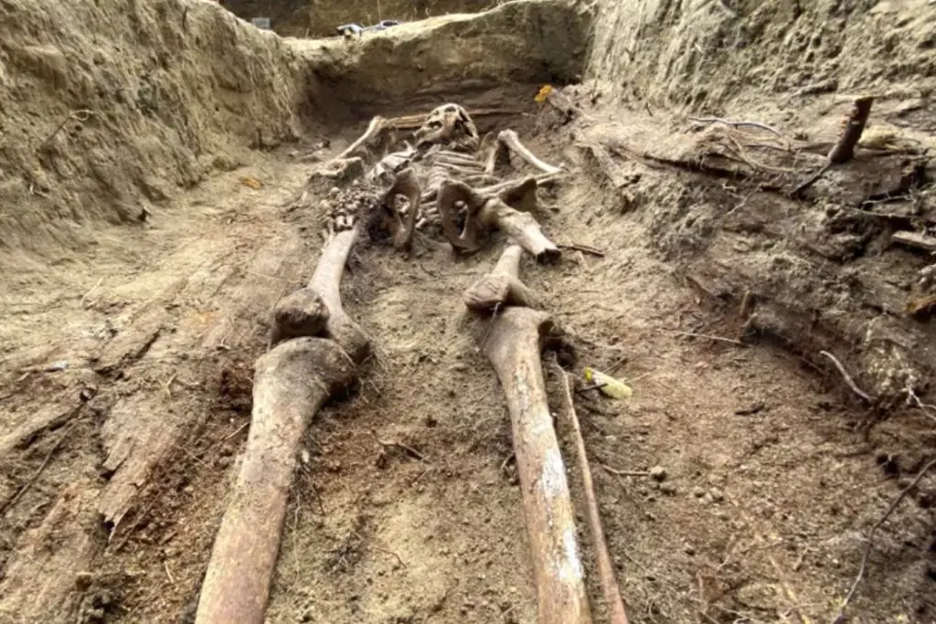 Shocking Discovery: Ancient Skeleton Sealed by Enigmatic Object Found at Anglo-Saxon Burial Site, Revealing Hidden Secrets of the Past.