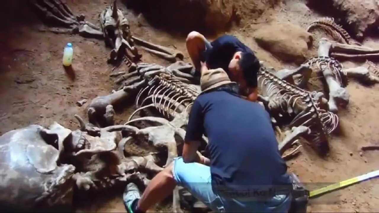 The Shocking Mystery of 1798: Unearthing Ohio's Ancient Giants and the Discovery That Left Experts Stunned!