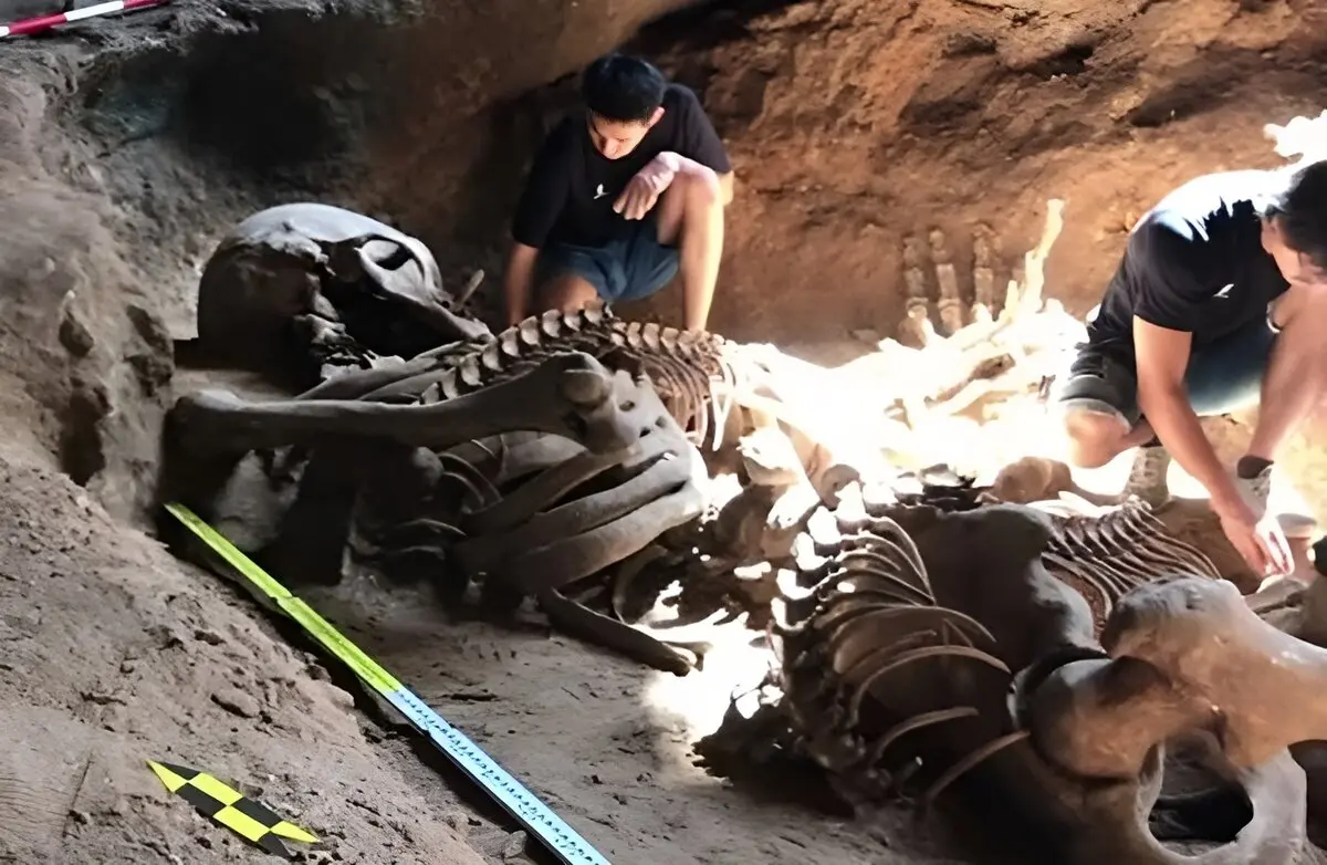 The Shocking Mystery of 1798: Unearthing Ohio's Ancient Giants and the Discovery That Left Experts Stunned!