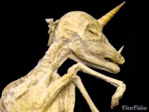 Ảnh đã upload