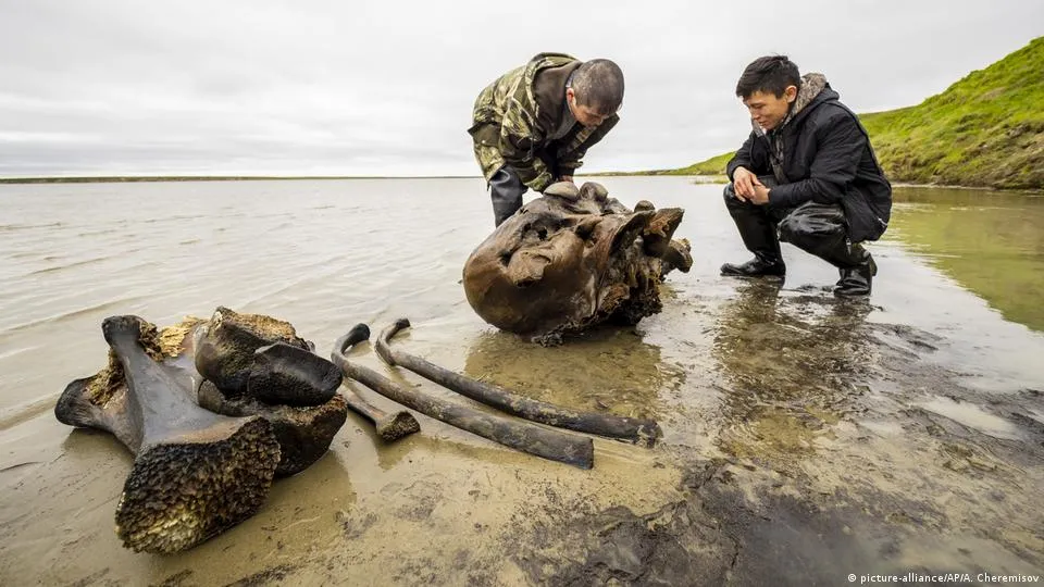 A 2-million-year-old mammoth bone fragment emerging from the ground has caused a shocking impact on everyone.