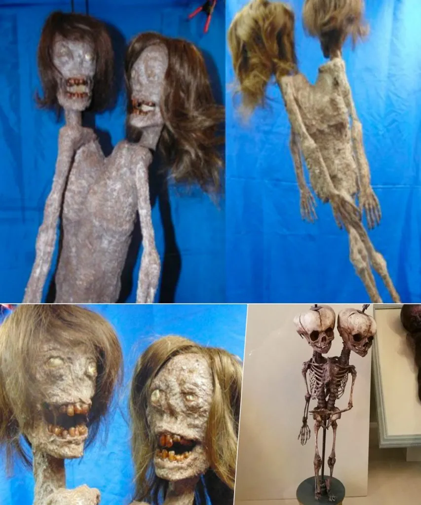 Terrifying discovery: Remains of ancient two-headed monster found, leaving scientists stunned.