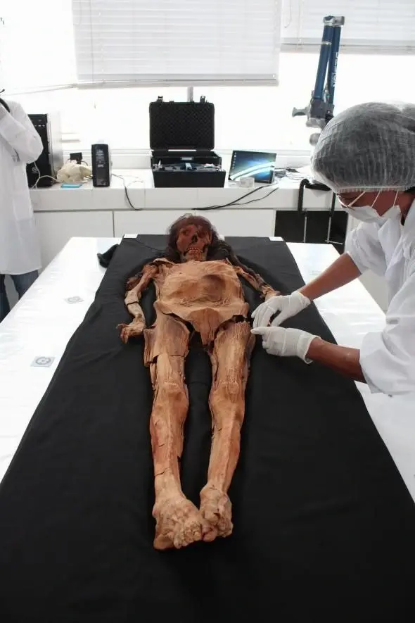 Revelan el Rostro de una Momia ‘Monstruosa’, Científicos Sorprendidos por la Belleza Intemporal de una Mujer de Hace 1,600 Años.