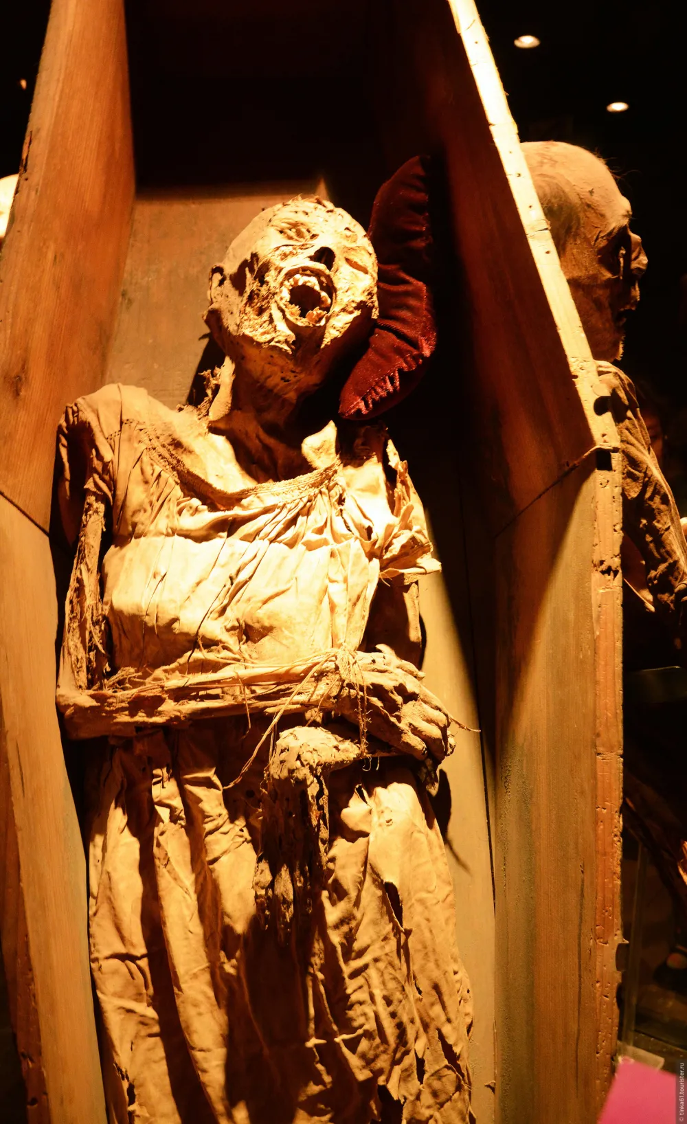 Egyptian Archaeologists Reveal ‘Amazing’ 4,000-Year-Old Mummy in Hidden Burial Chamber – Experts Shocked by Mysterious Discovery!