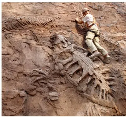 Incredible find: T. Rex's scaly skin revolutionizes dinosaur history with astonishing new data!