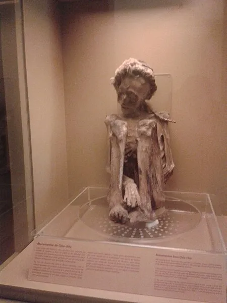 Sensational revelation! Dark secrets of the mummy from the National Museum of Rio de Janeiro exposed