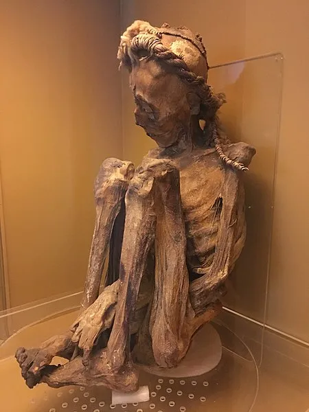Sensational revelation! Dark secrets of the mummy from the National Museum of Rio de Janeiro exposed