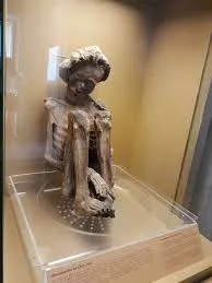 Sensational revelation! Dark secrets of the mummy from the National Museum of Rio de Janeiro exposed
