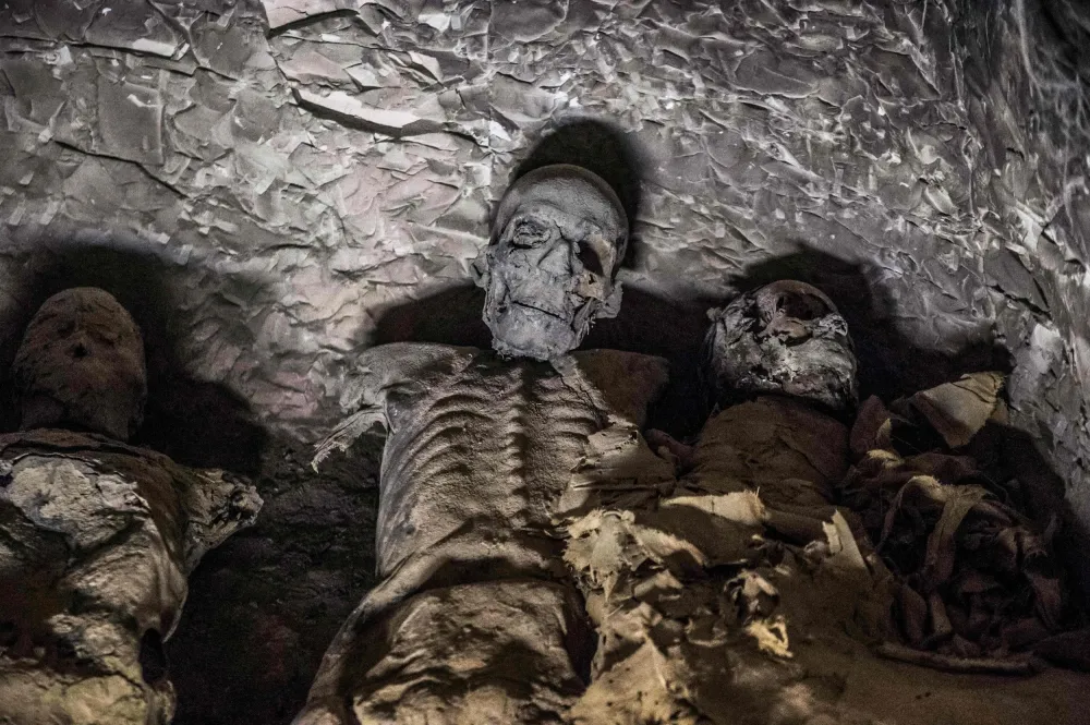 WORLDWIDE SHOCK! Secret Tomb with Over 40 Mummies Buried Discovered: Archaeologists Are in Shock!