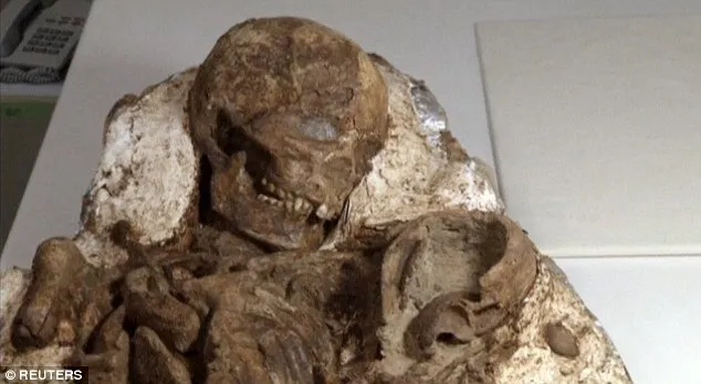Shocking Revelation: 4,800-Year-Old Fossilized Mother-Child Embrace Discovered in Taiwan—A Timeless Tragedy Revealed