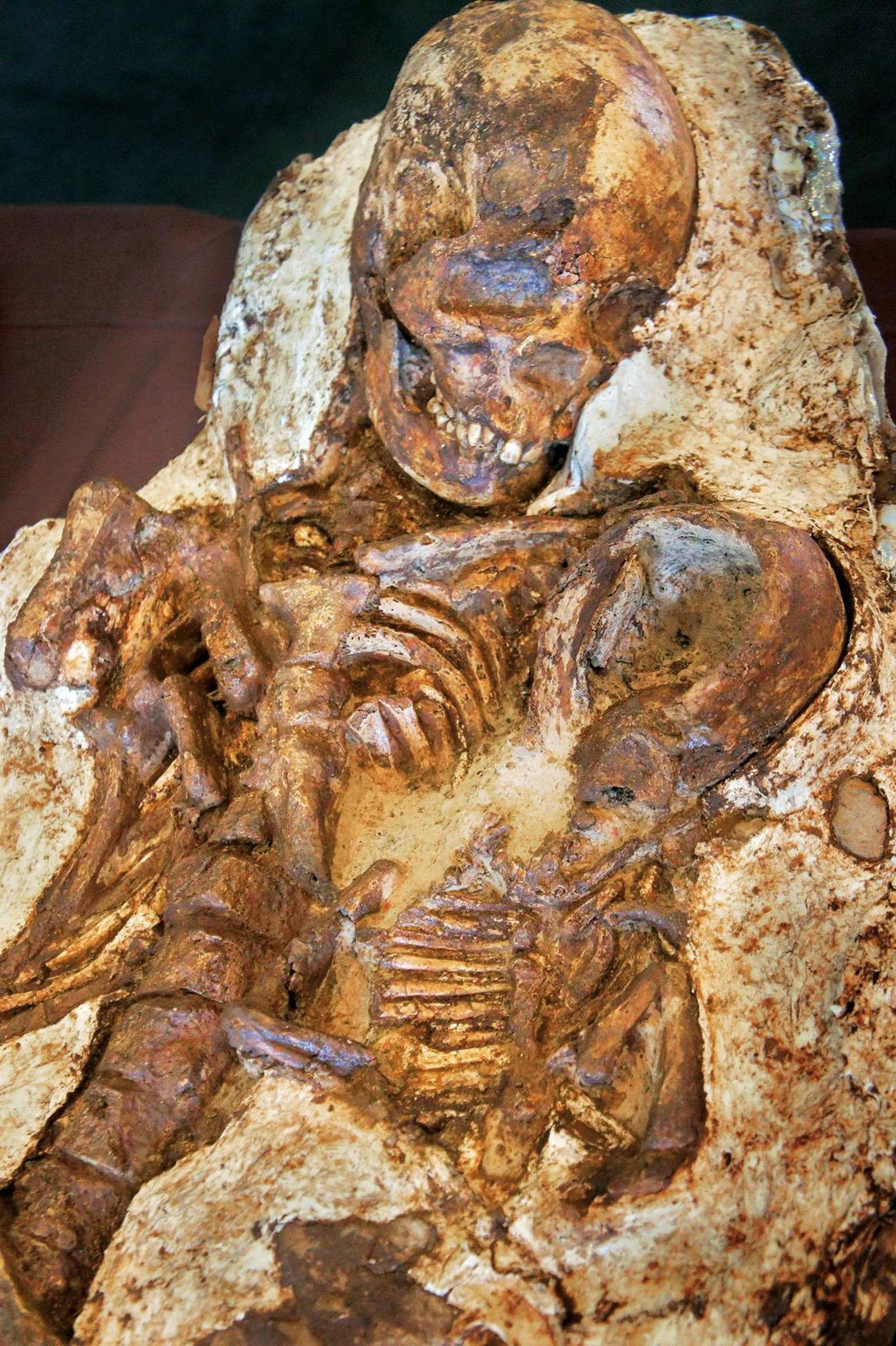 Shocking Revelation: 4,800-Year-Old Fossilized Mother-Child Embrace Discovered in Taiwan—A Timeless Tragedy Revealed