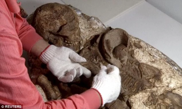 Shocking Revelation: 4,800-Year-Old Fossilized Mother-Child Embrace Discovered in Taiwan—A Timeless Tragedy Revealed