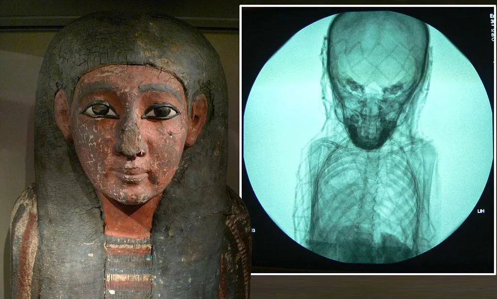 Egypt, the amazing discovery that shook the world to its foundations