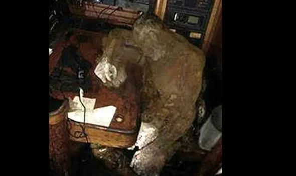 Heartbreaking and Shocking! Frozen Body of Captain Discovered on 18th Century Ghost Ship