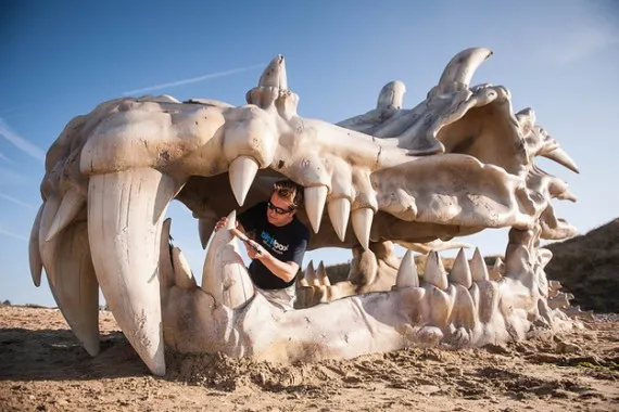 Shocking Discovery: Archaeologists Stunned by Legendary Dragon Skull Found on Beach