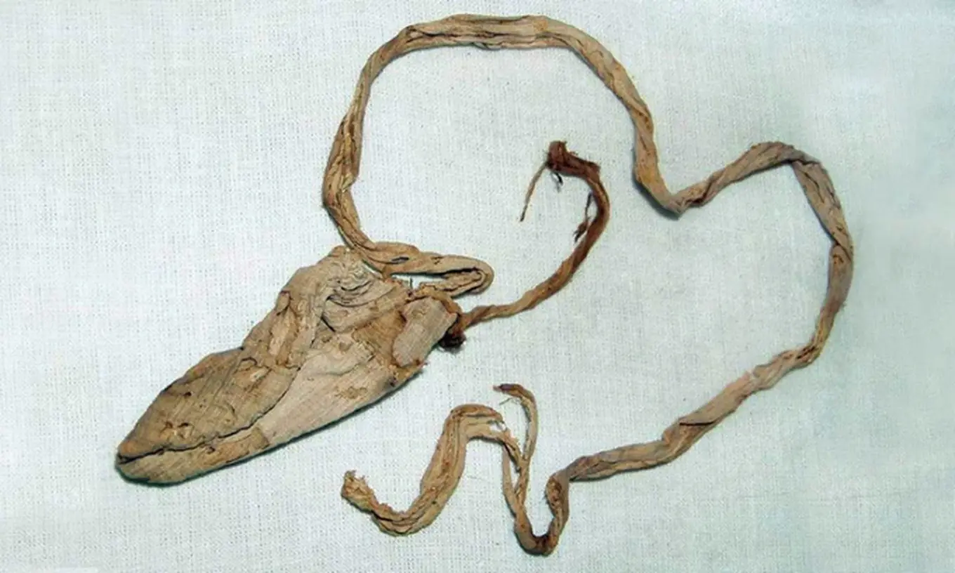 3,000-year-old condom found in tomb of famous ancient Egyptian king