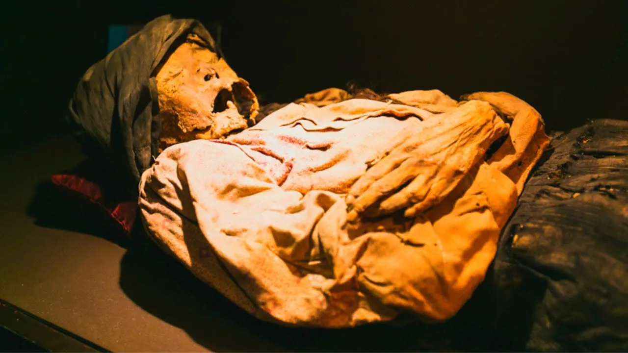 Revealing a Chilling Secret: The Horrible Discovery by Researchers That Should Never Have Come to Light