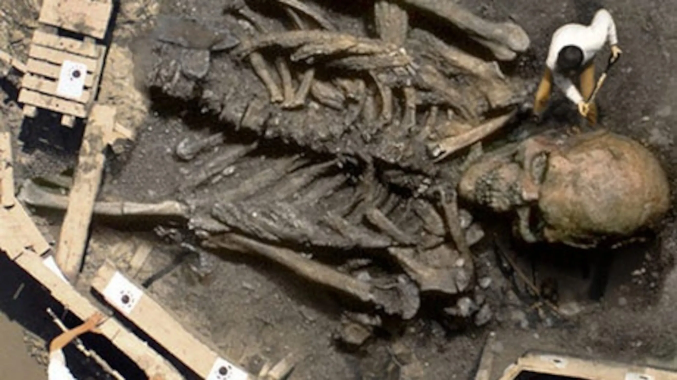 Shocking discovery in Egypt: giant skeleton measuring 65 metres found in both lying and sitting positions!