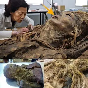 Breaking News: Scientists Discover Frozen Mummy Preserved in Ice—Revealing Ancient People Who Lived 20 Million Years Ago! History Rewritten!
