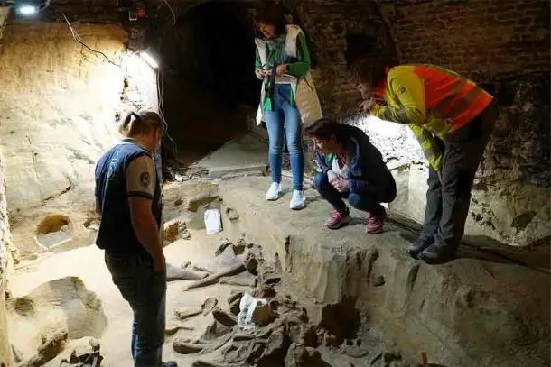 Stunning Discovery: 40,000-Year-Old Mammoth Bones Unearthed in Austrian Wine Cellar!