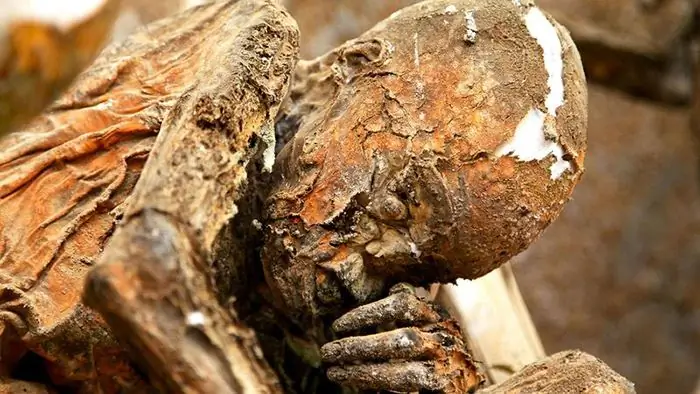 Terrifying Discovery: Huge Giant Skeletons Found Lurking Beneath the Grand Canyon