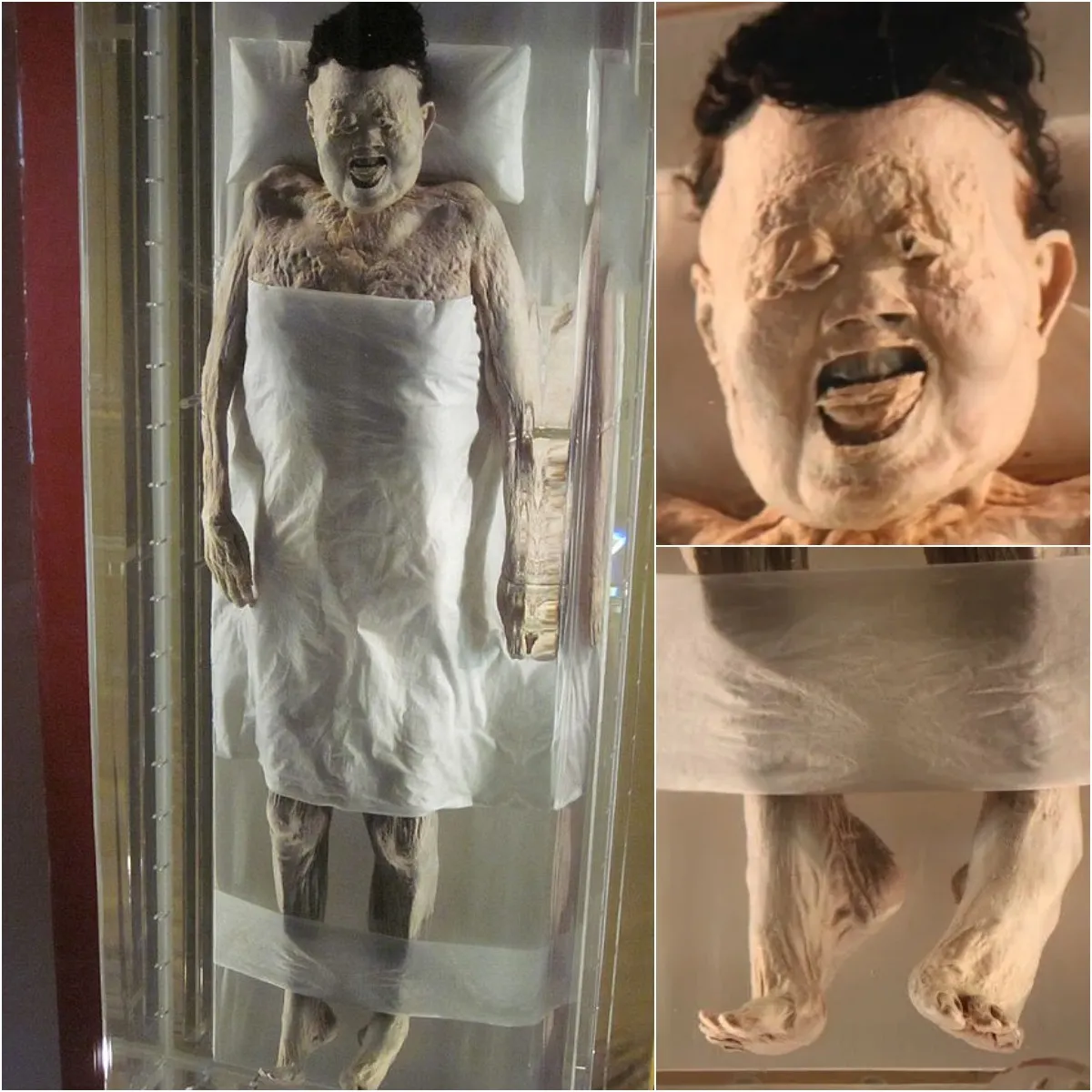 The Pinnacle of Mummification! Lady of Dai's 2,000-Year-Old Body Retains Original Hair and Soft Skin